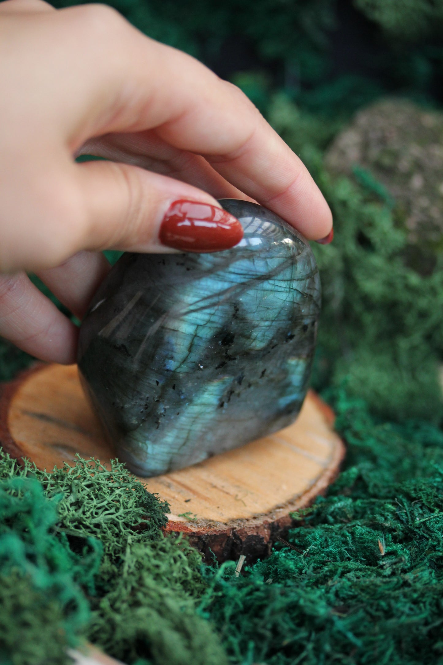 Blue Labradorite Freeform LF9