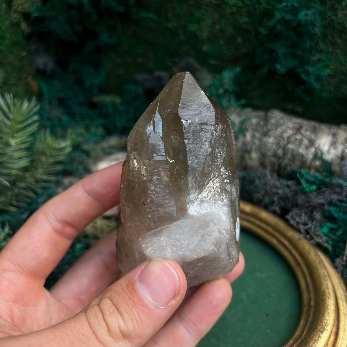 Raw Smoky Quartz SQ7