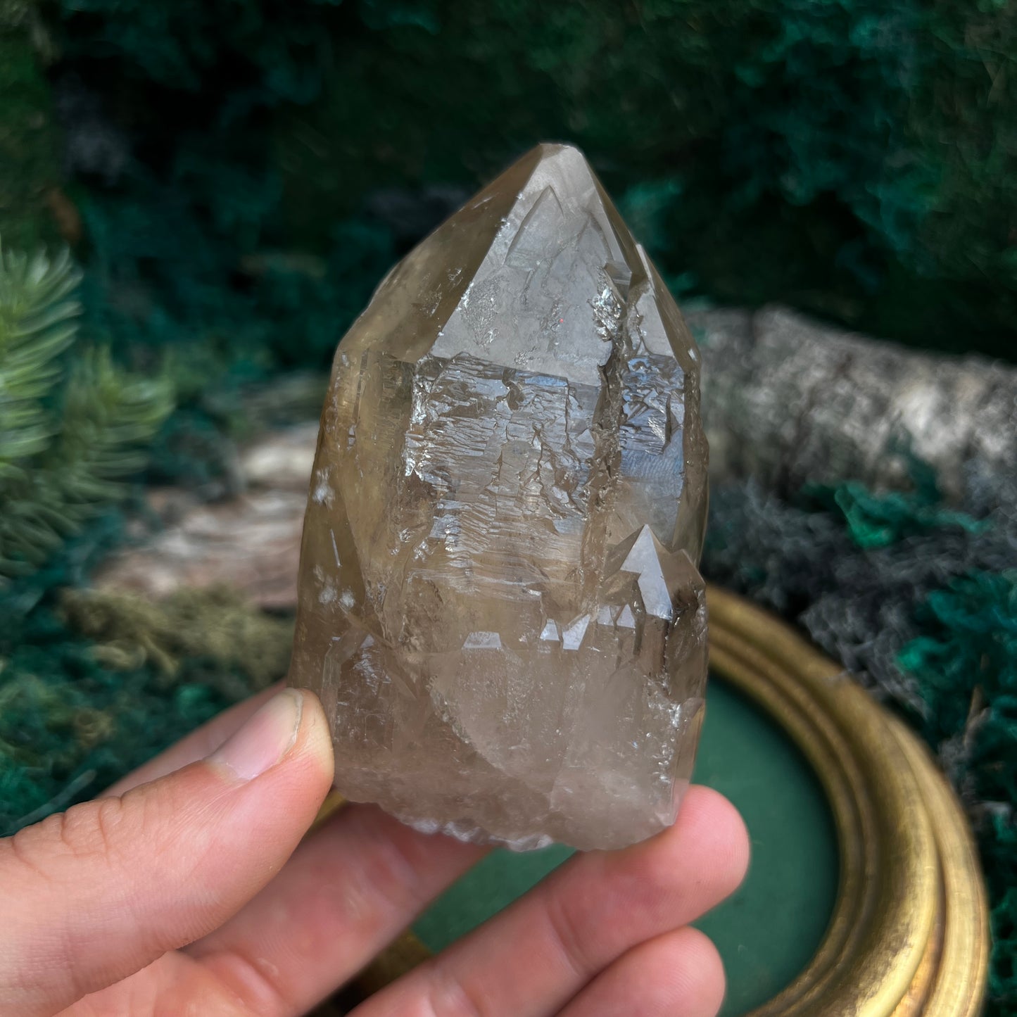 Raw Smoky Quartz SQ7