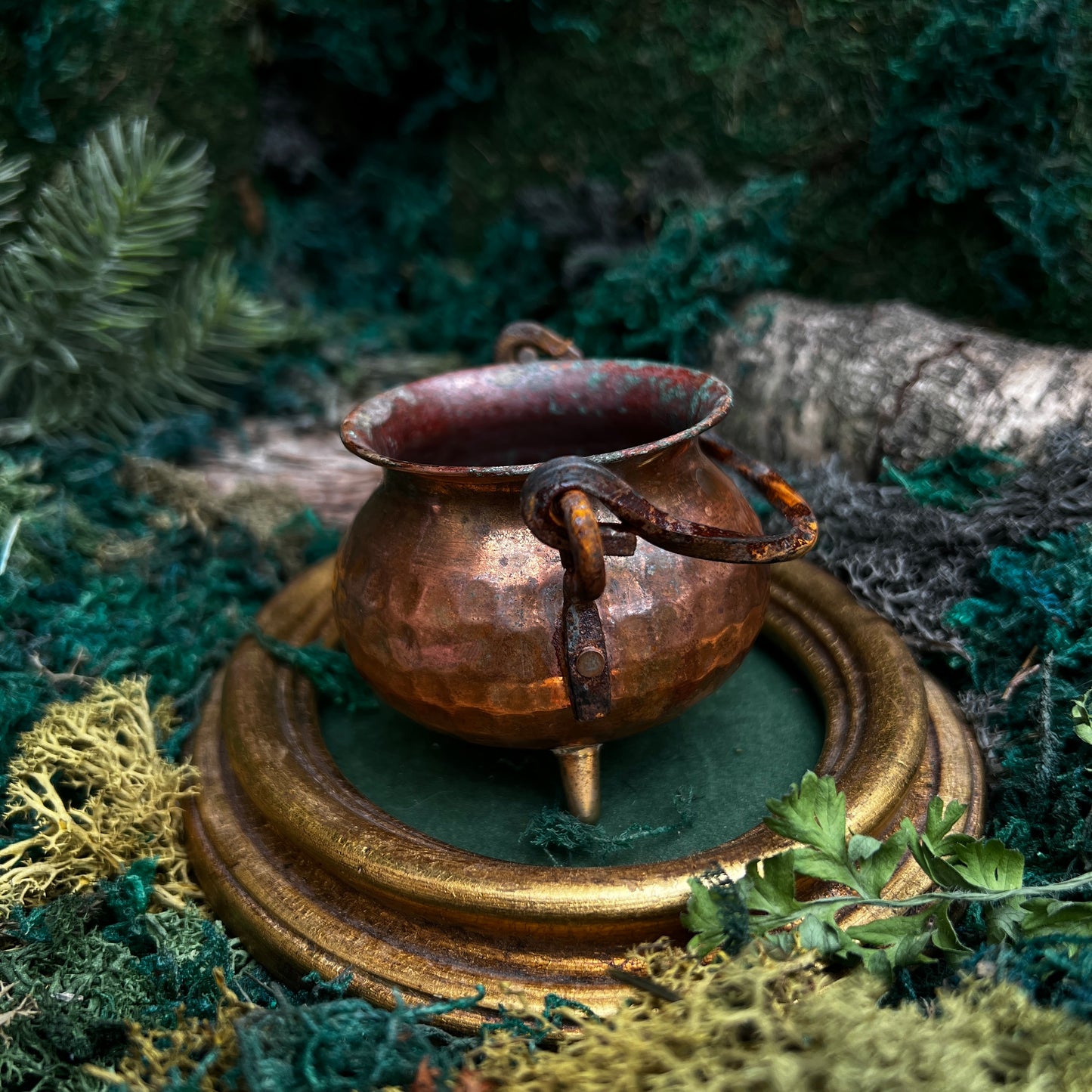 Copper Cauldron CC16