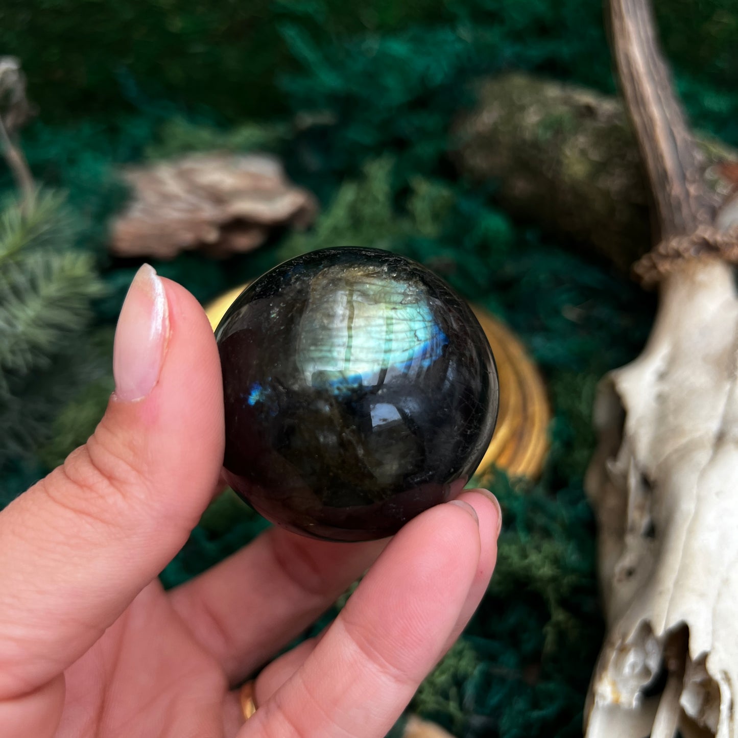 Blue Labradorite Sphere A+ BLS9