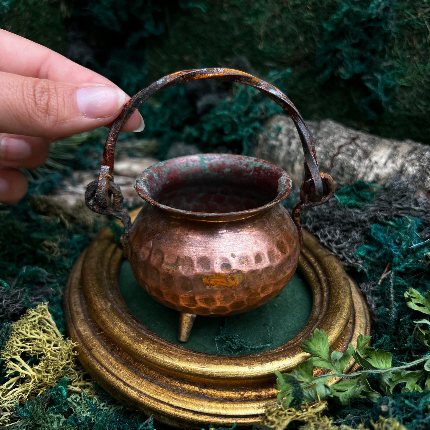 Copper Cauldron CC16