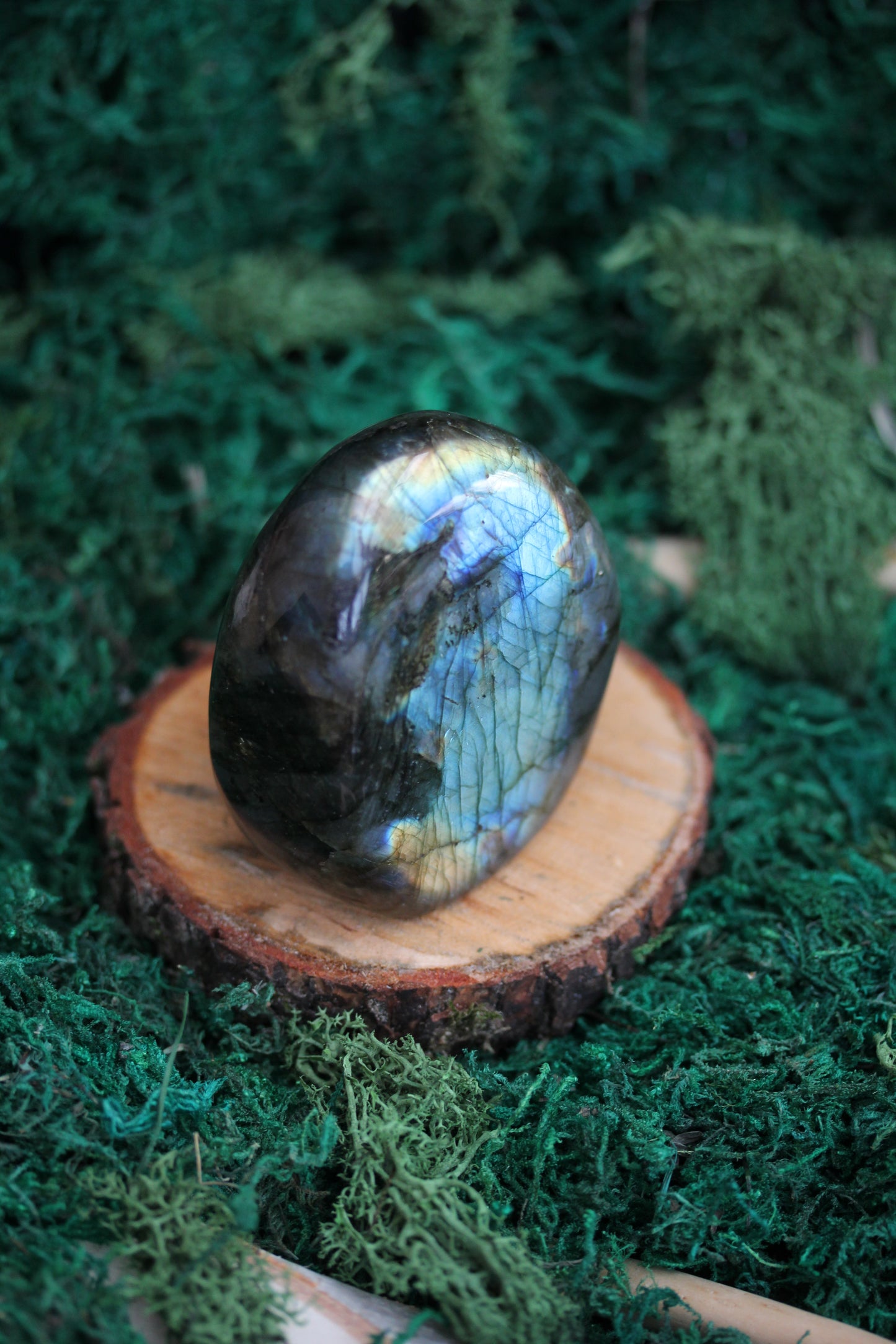 Blue Labradorite Freeform LF16