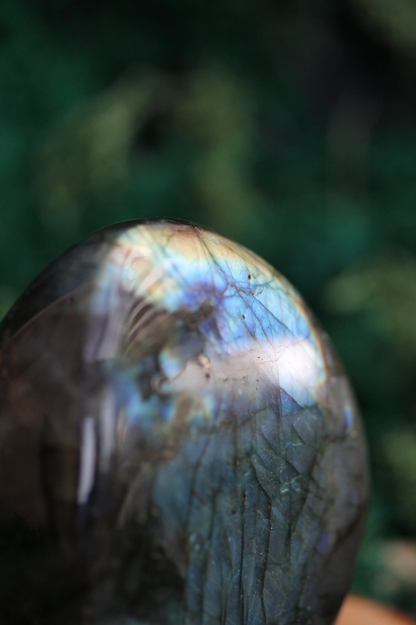 Blue Labradorite Freeform LF16