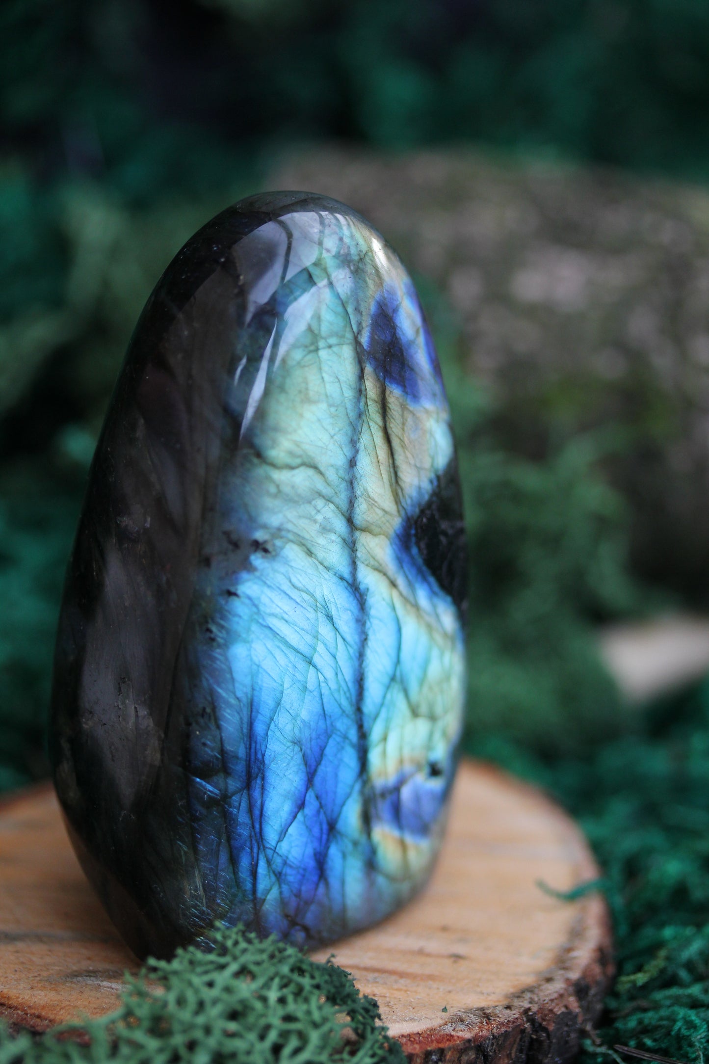 Blue Labradorite Freeform LF18