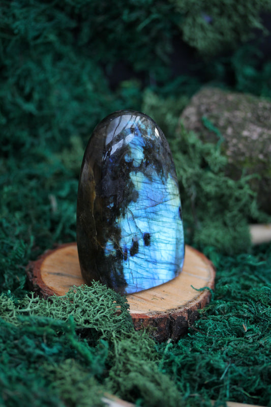 Blue Labradorite Freeform LF19