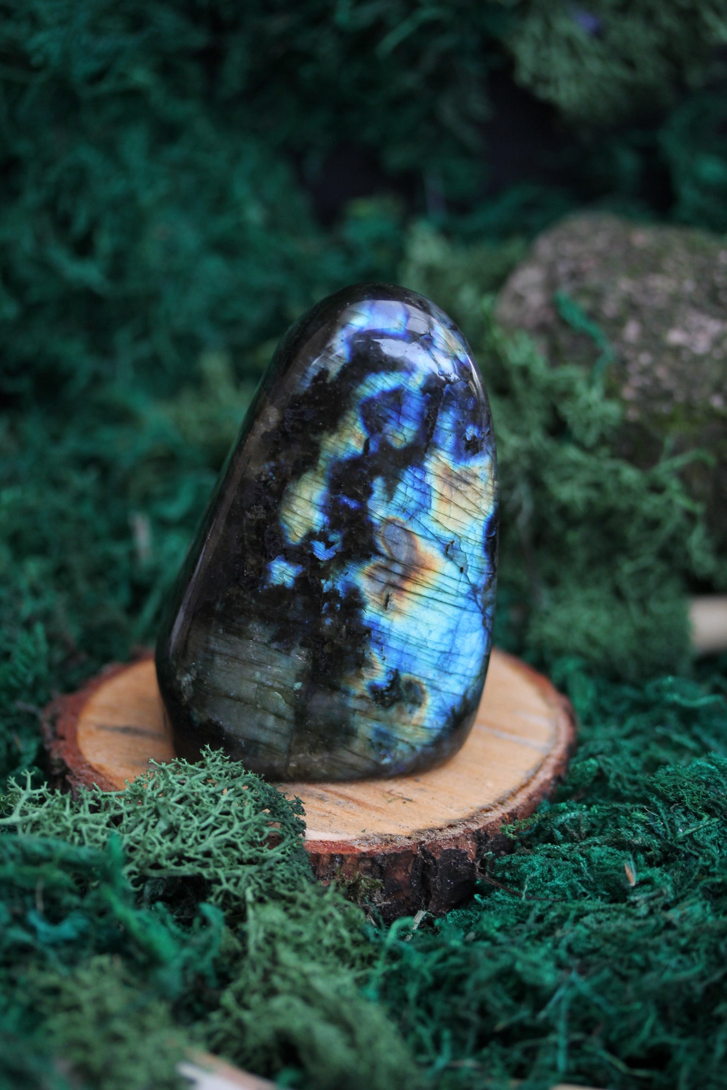 Blue Labradorite Freeform LF22