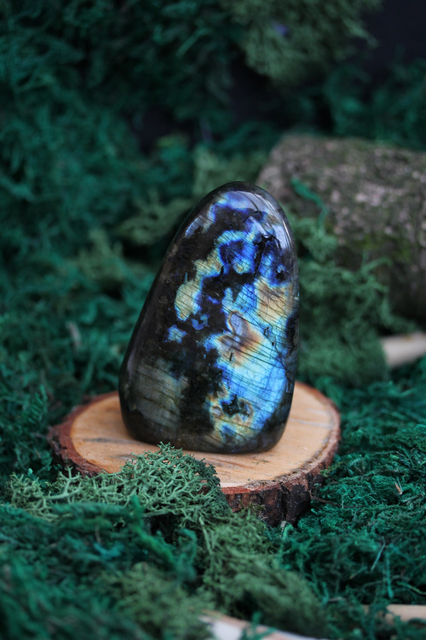 Blue Labradorite Freeform LF22