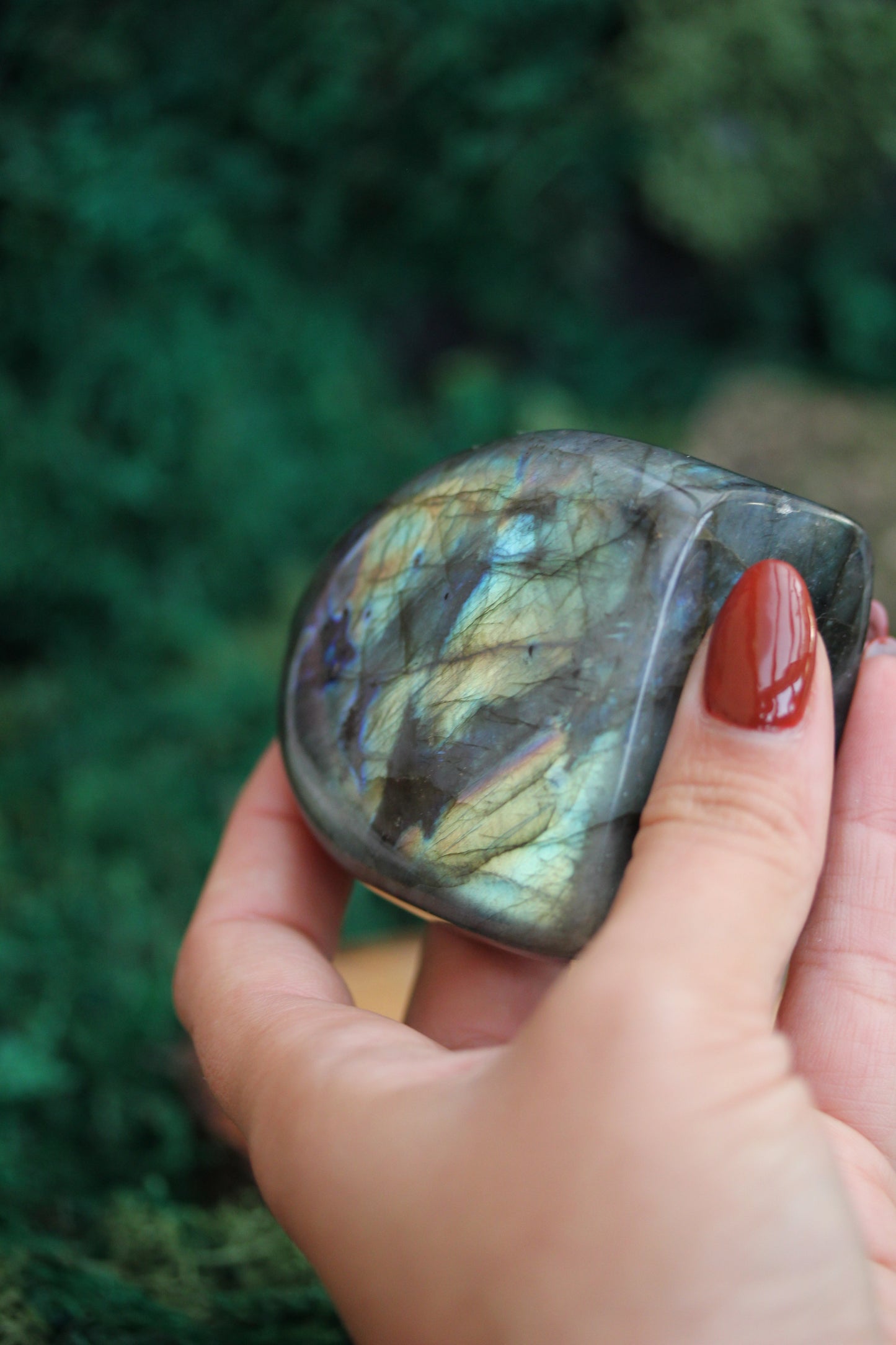 Blue Labradorite Freeform LF23