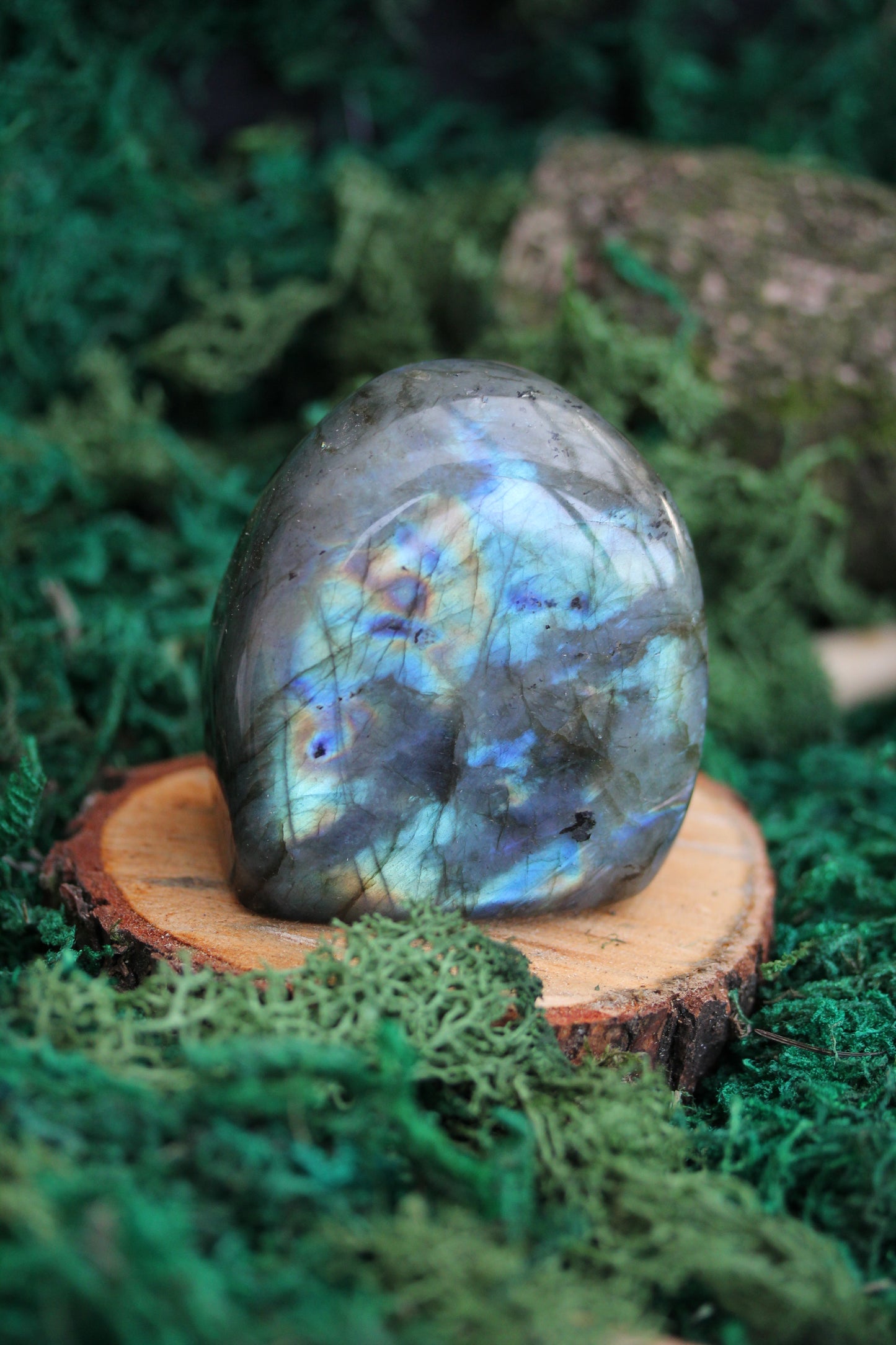 Blue Labradorite Freeform LF23