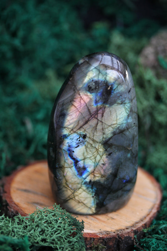 Blue Labradorite Freeform LF24