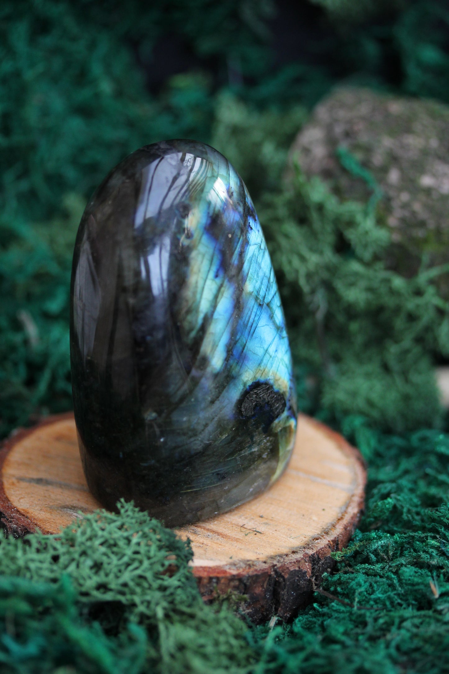 Blue Labradorite Freeform LF25