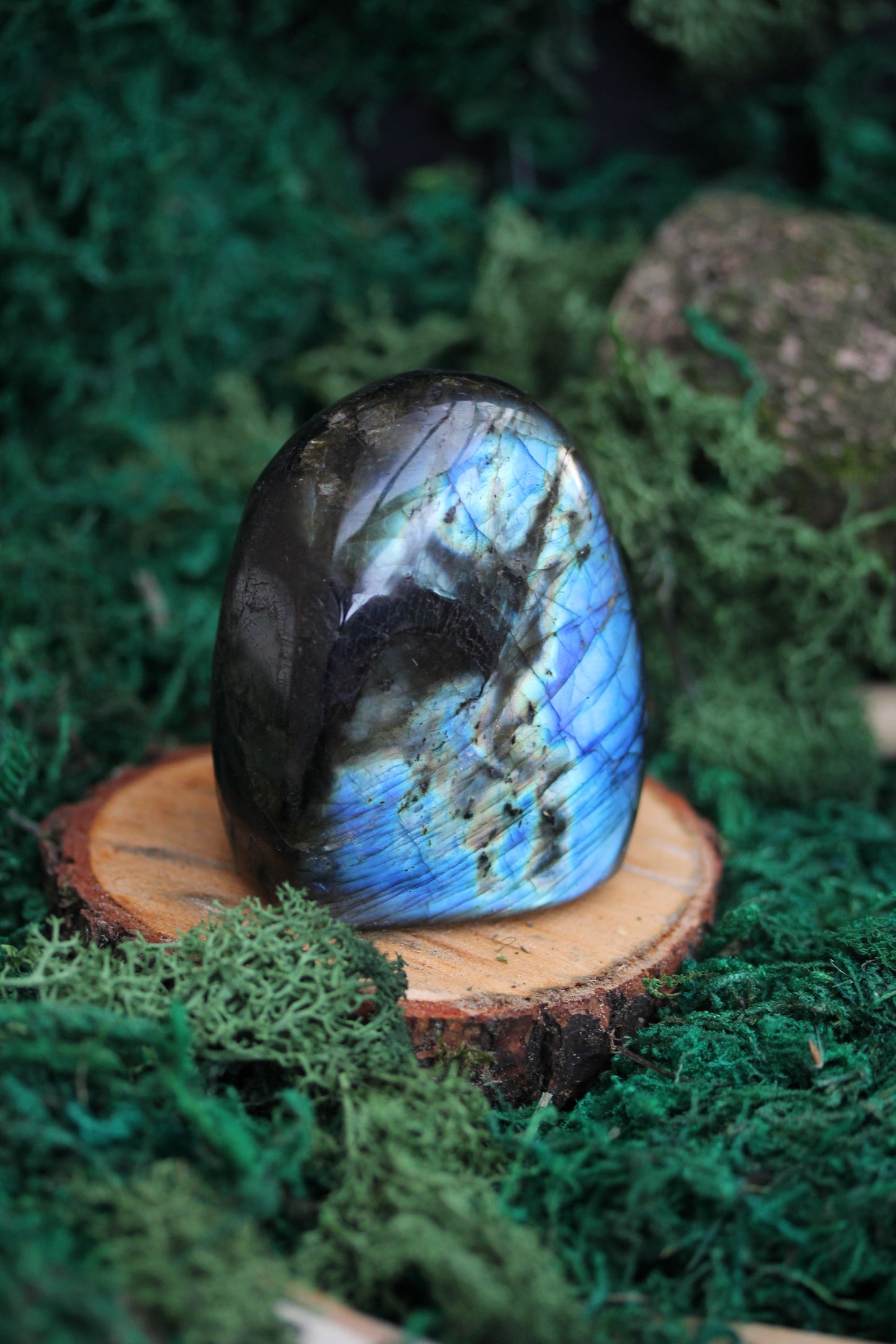 Blue Labradorite Freeform LF31