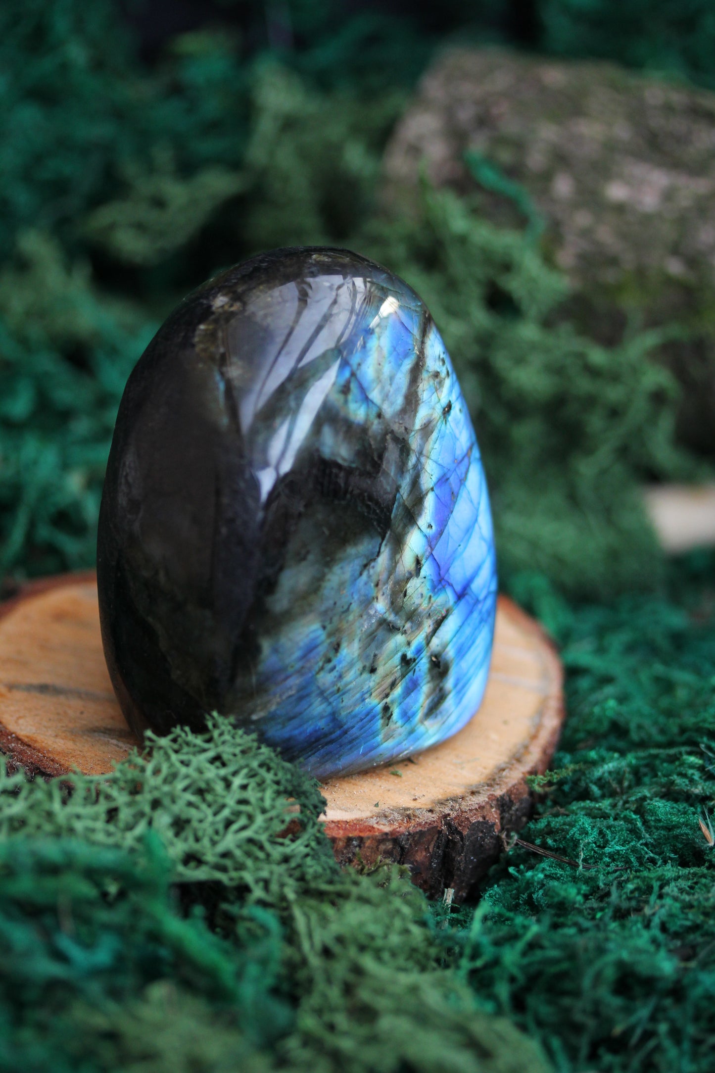 Blue Labradorite Freeform LF31