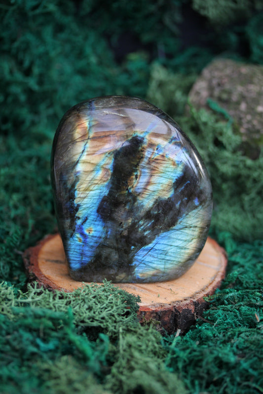 Blue Labradorite Freeform LF3