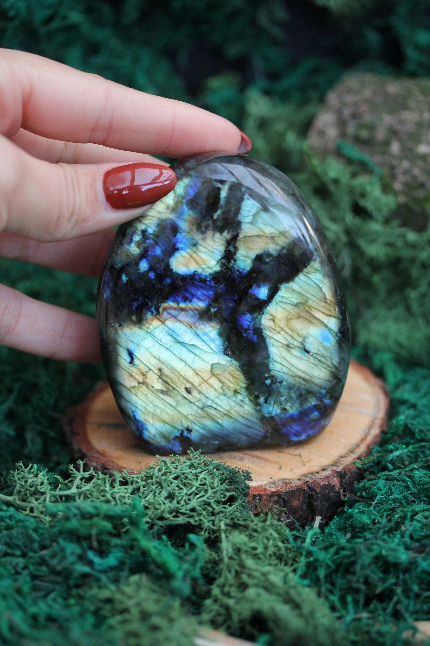 Blue Labradorite Freeform LF4