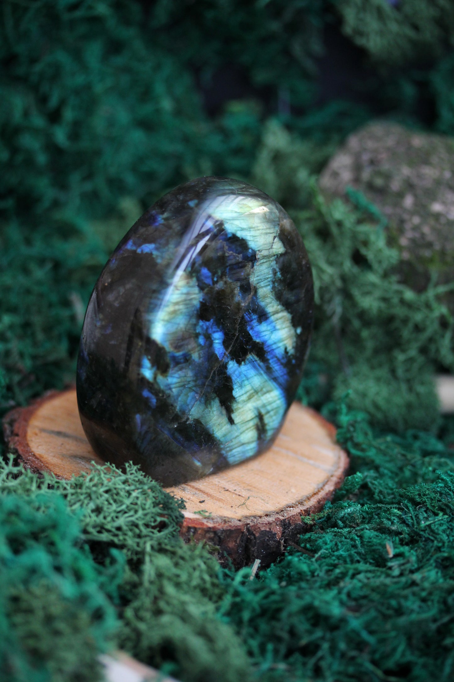 Blue Labradorite Freeform LF10