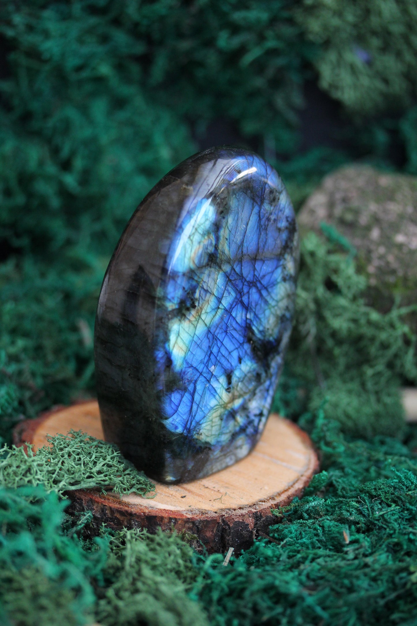 Blue Labradorite Freeform LF12