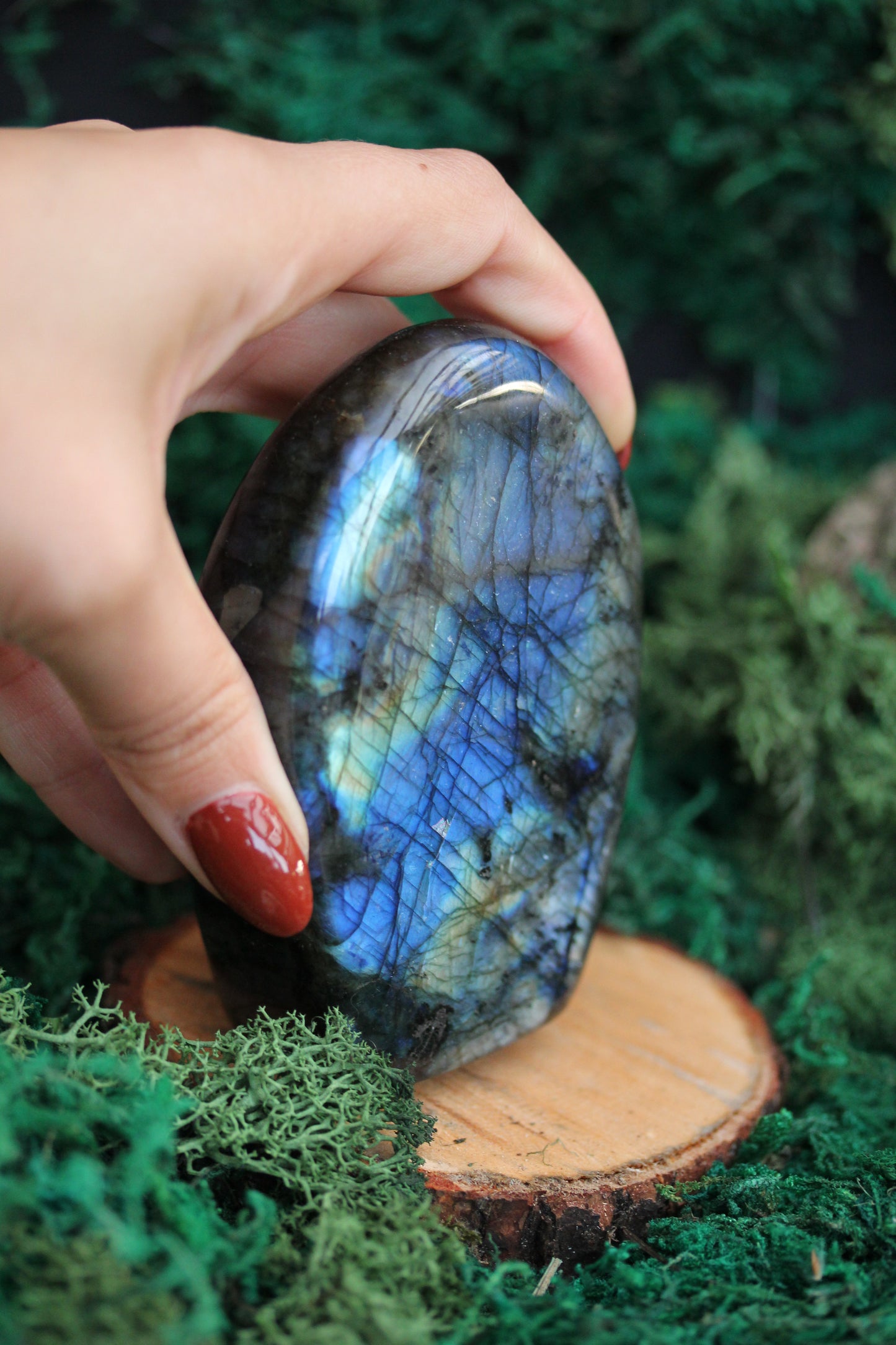 Blue Labradorite Freeform LF12