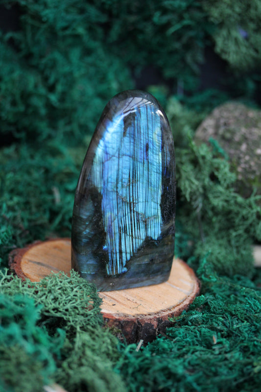 Blue Labradorite Freeform LF13