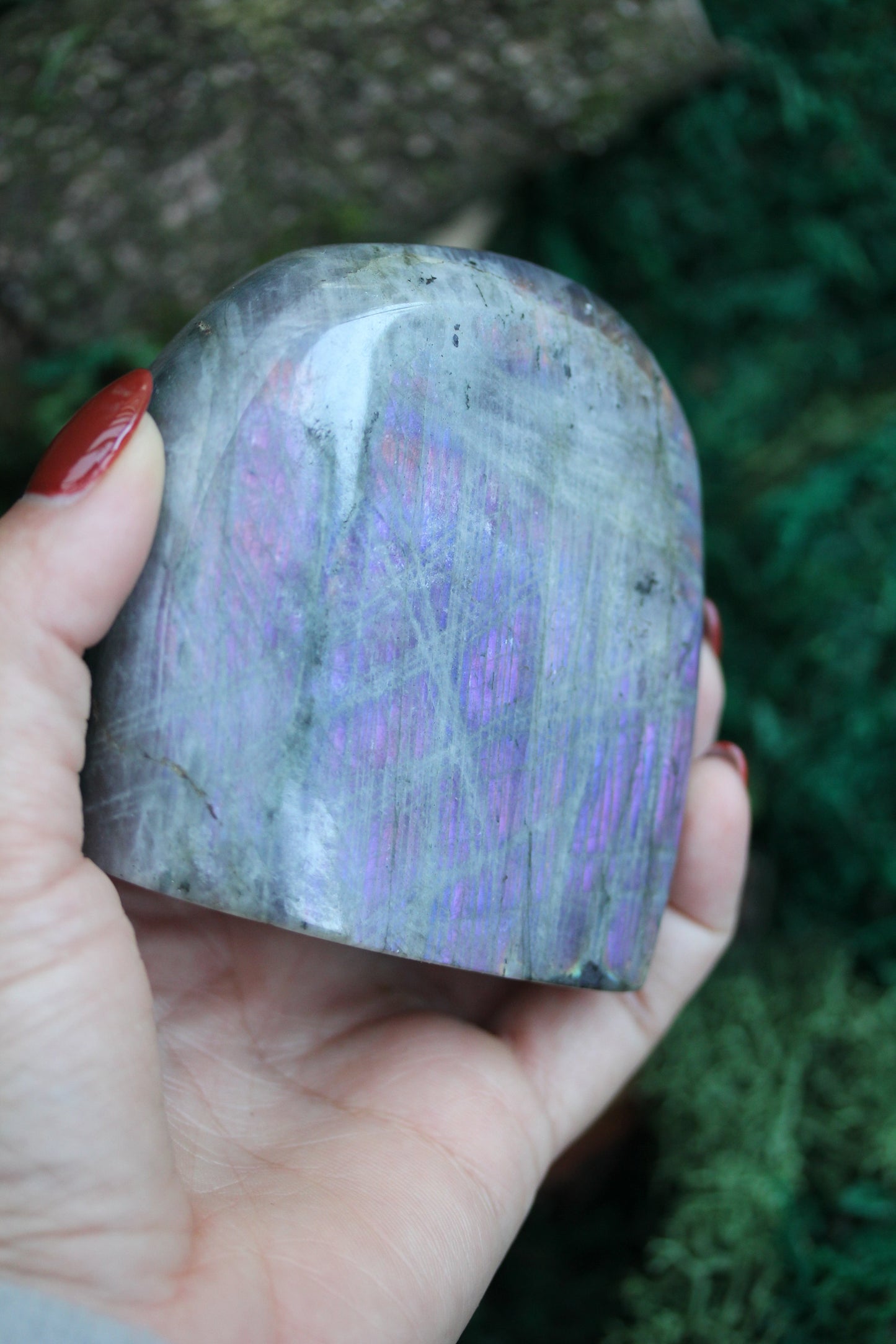 Purple Labradorite Freeform LF37