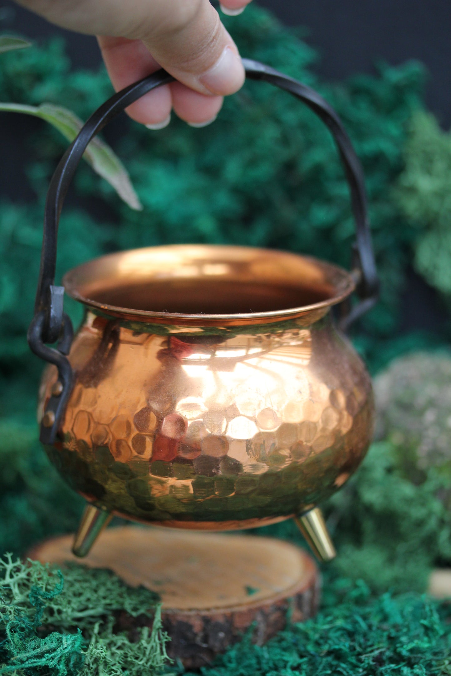 Copper Cauldron CC2