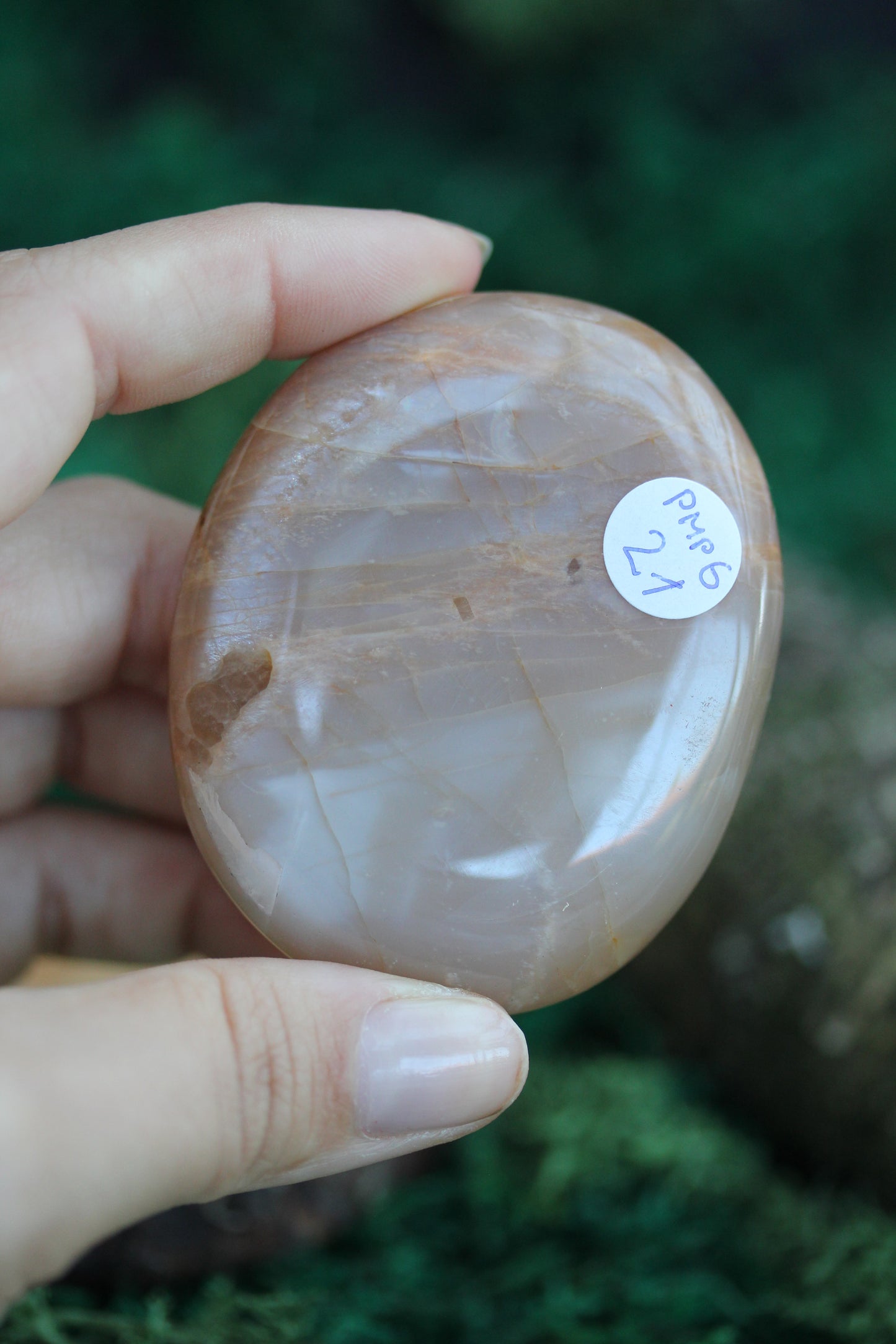 Peach Moonstone Palmstone PMP6