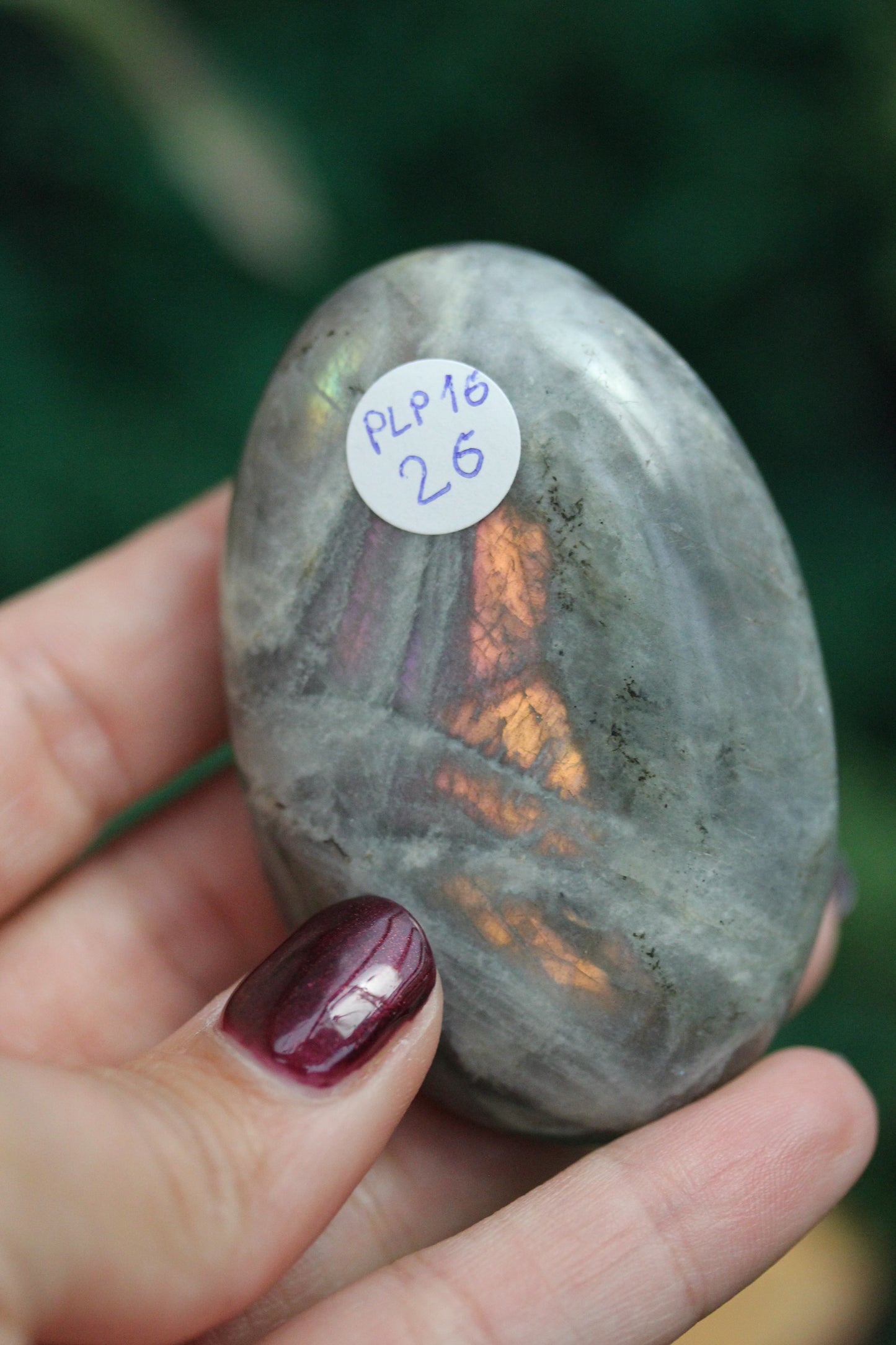 Purple Labradorite Palmstone PLP16