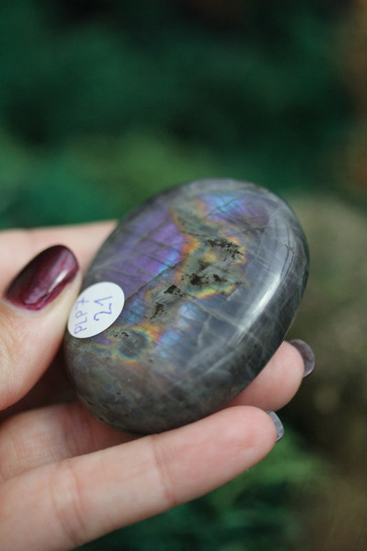 Purple Labradorite Palmstone PLP7