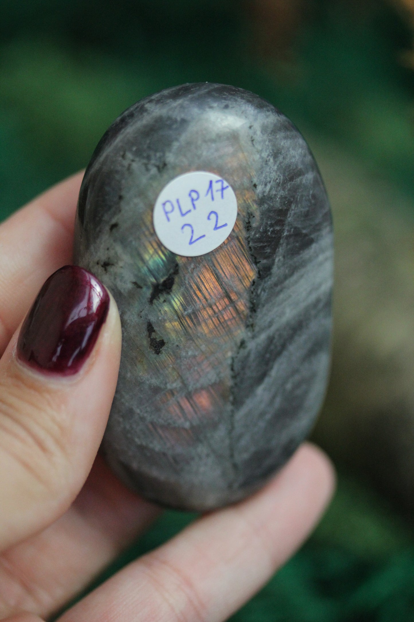 Purple Labradorite Palmstone PLP17