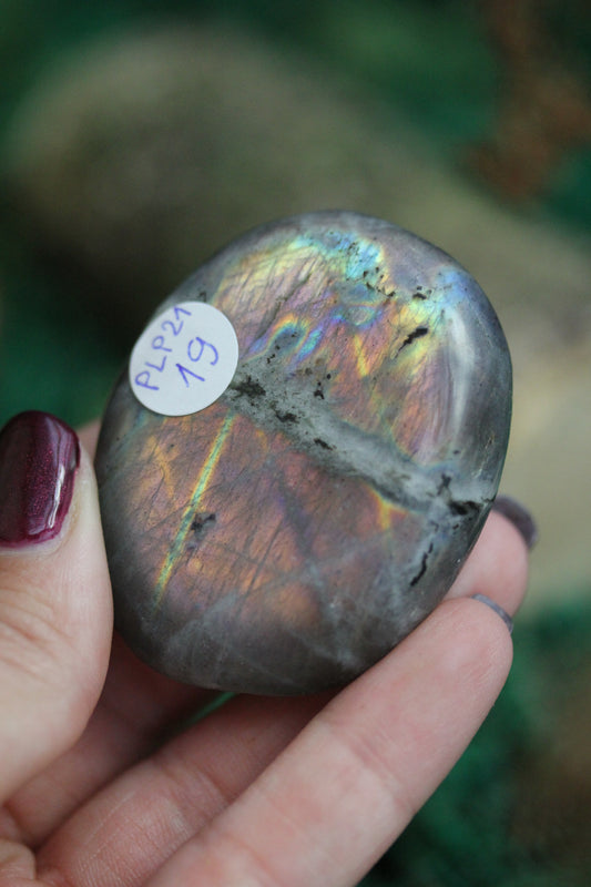 Purple Labradorite Palmstone PLP21