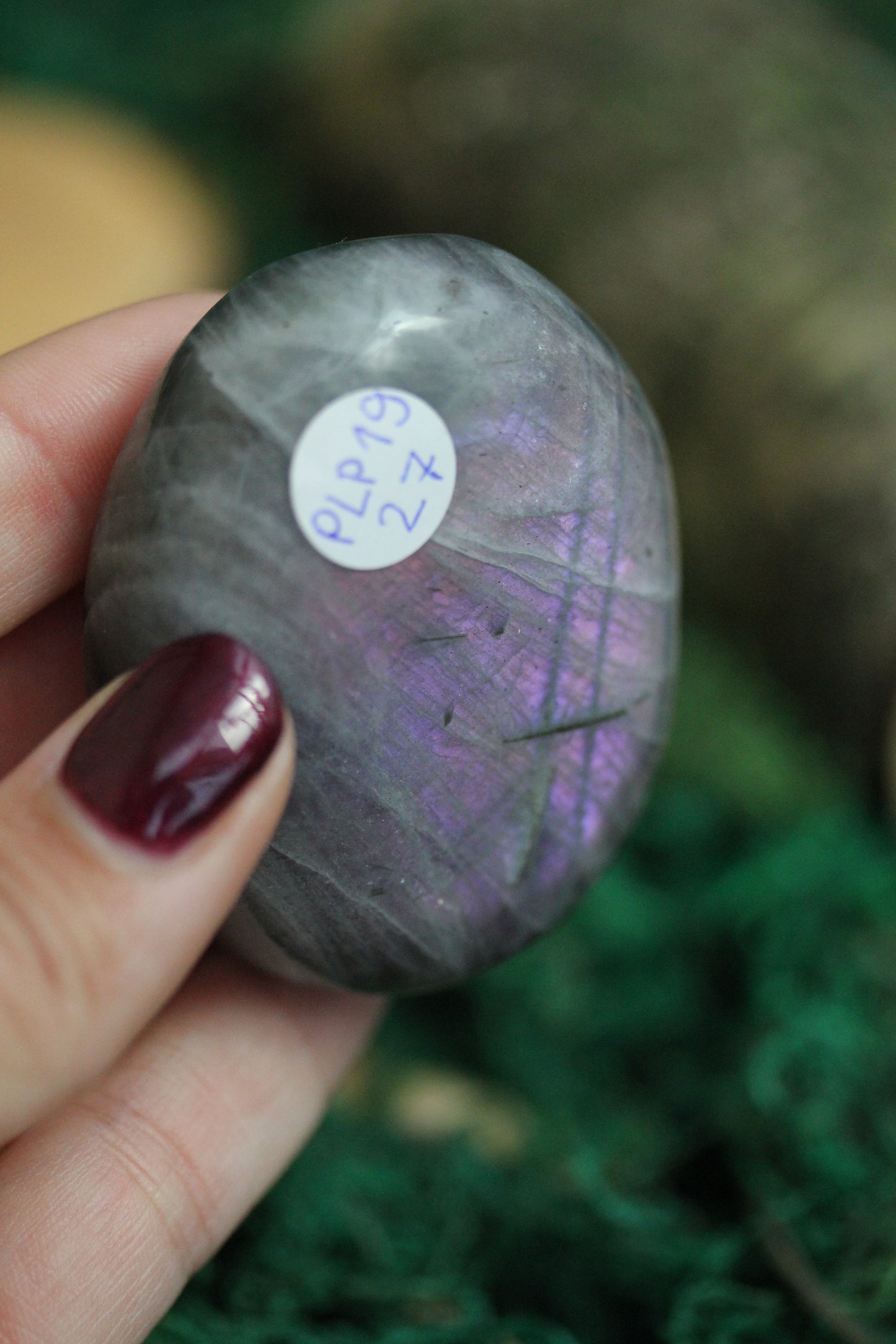 Purple Labradorite Palmstone PLP19