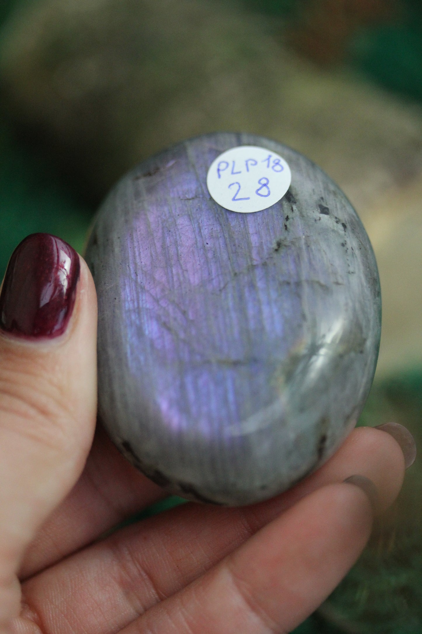 Purple Labradorite Palmstone PLP18