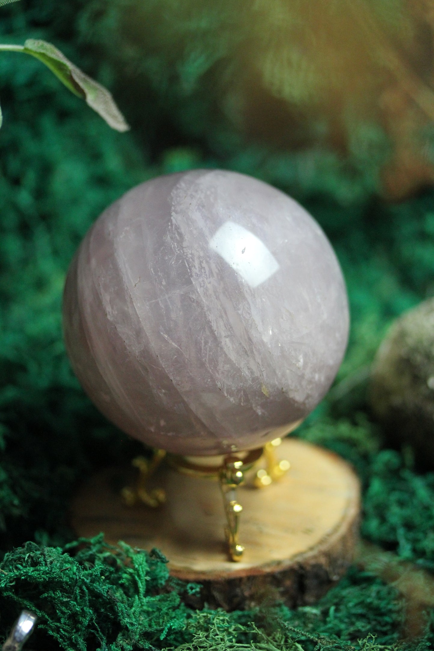Rose Quartz Sphere with Asterism RQS6