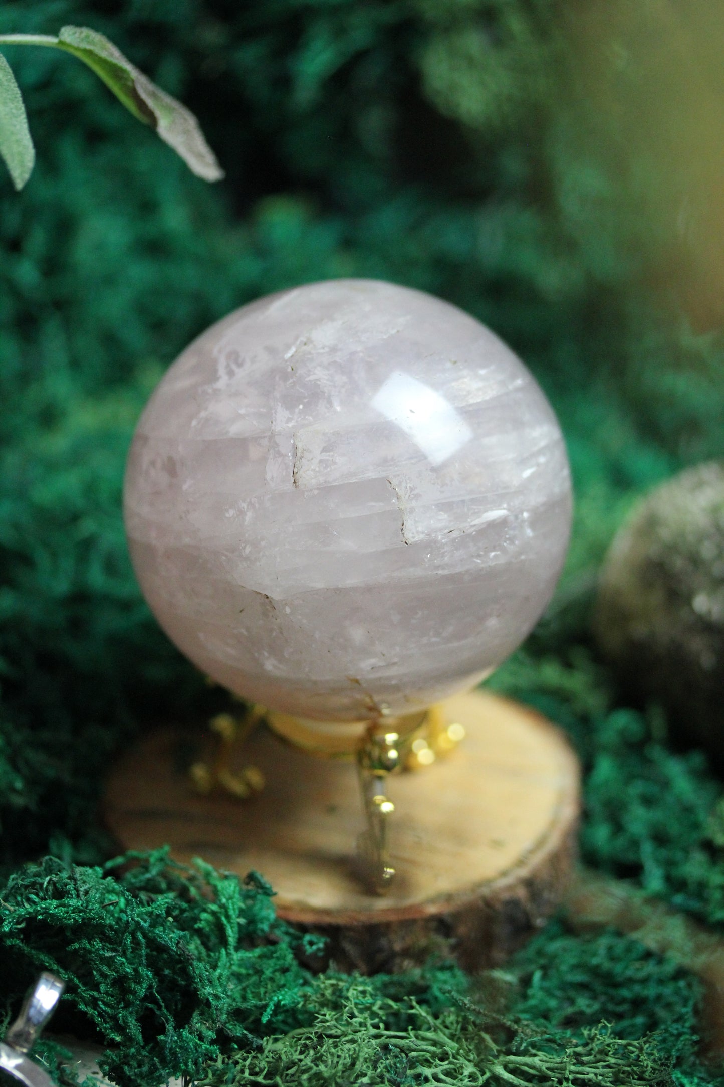 Rose Quartz Sphere with Asterism RQS5