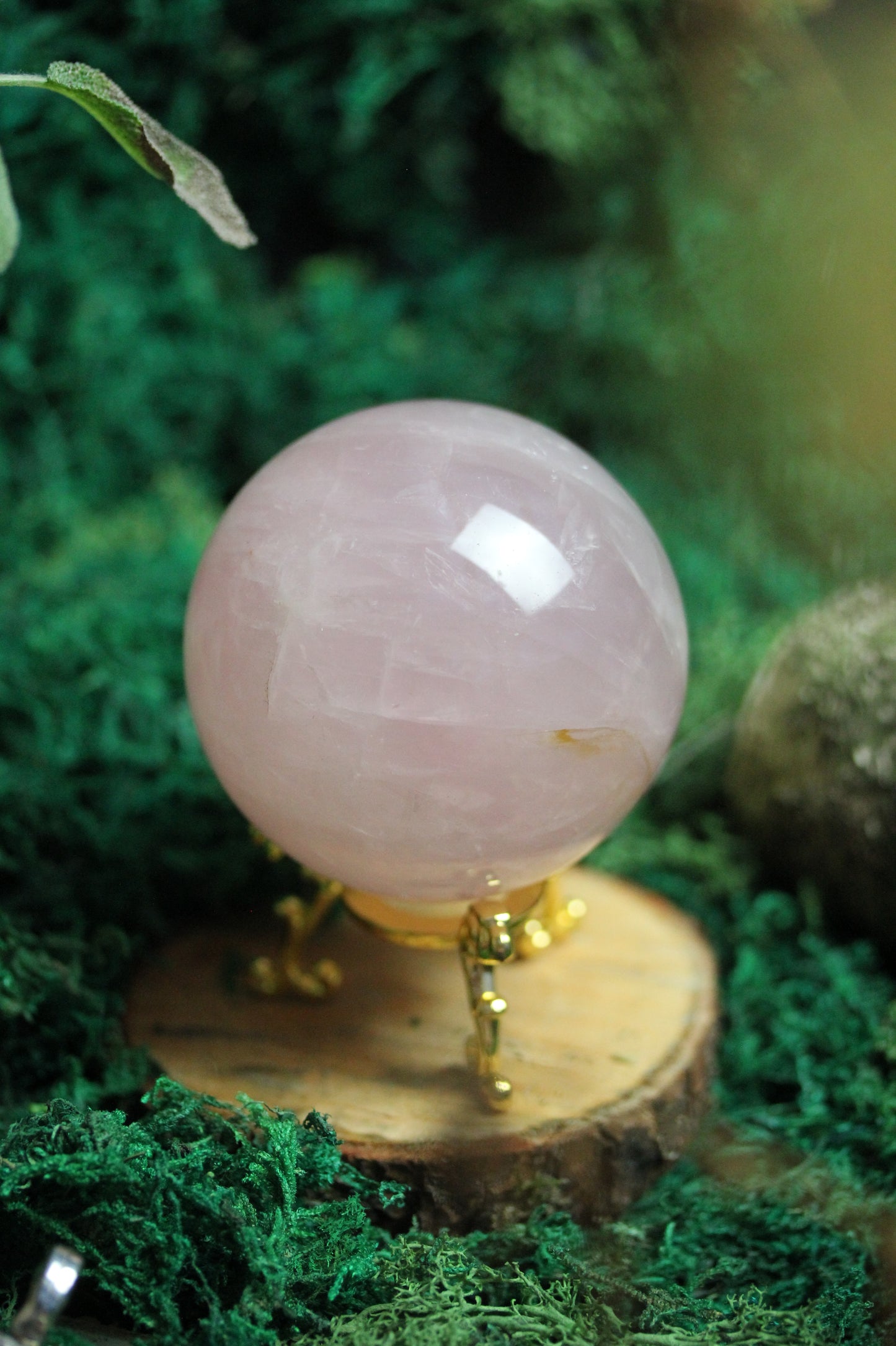 Rose Quartz Sphere with Asterism RQS4