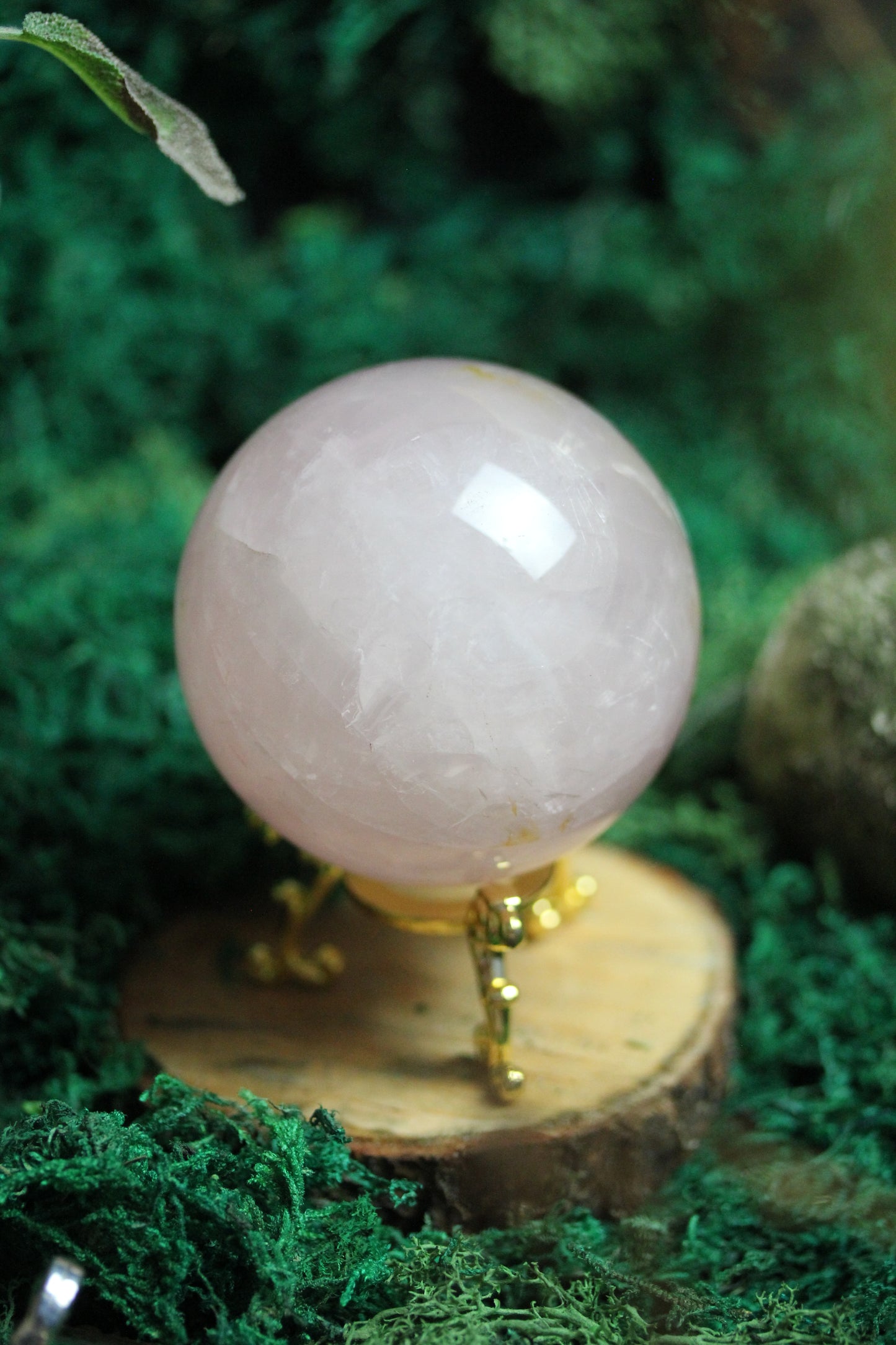 Rose Quartz Sphere with Asterism RQS4