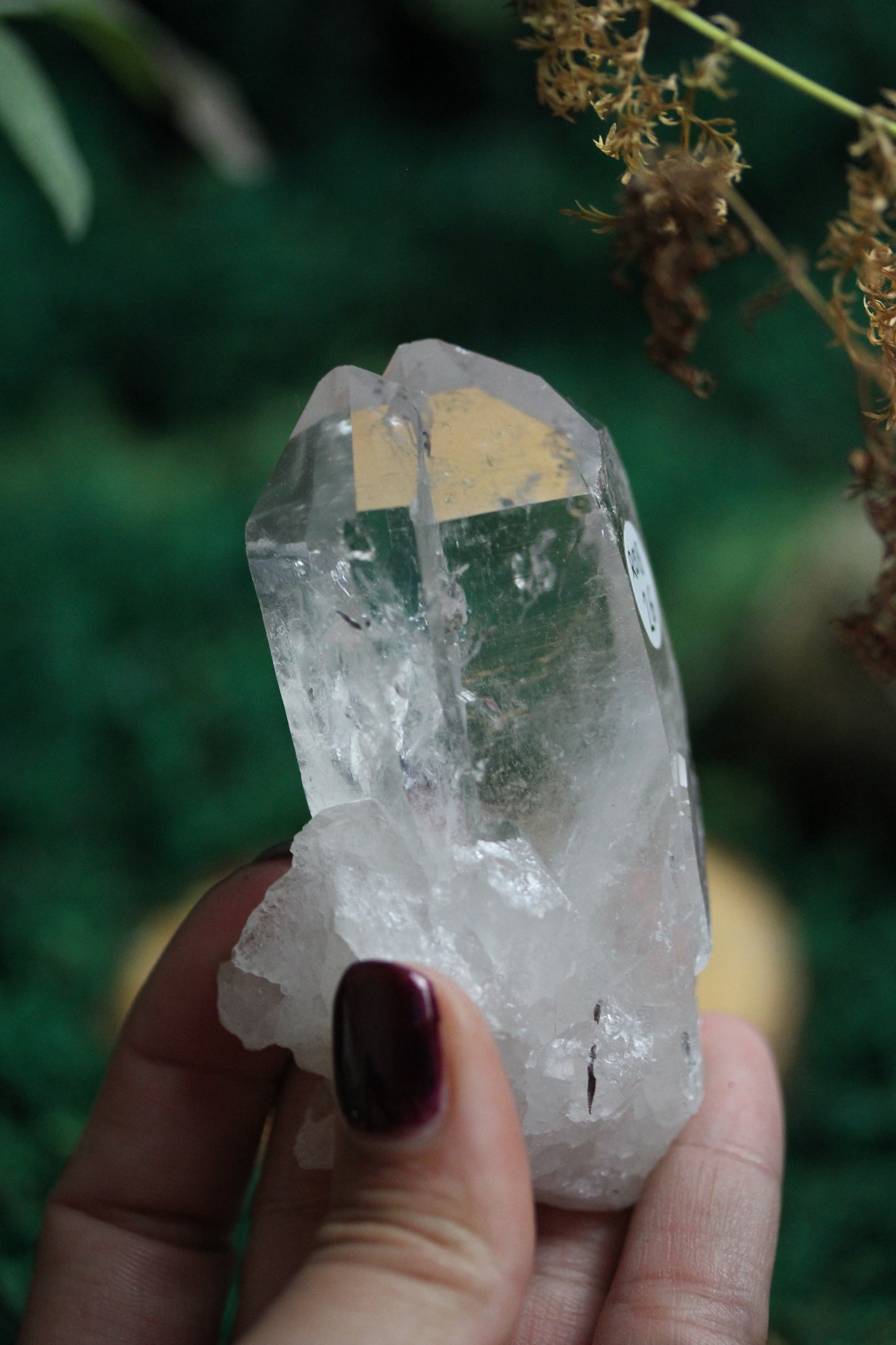 Raw Clear Quartz RQ8